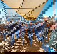 Roma - Foster Accommodation