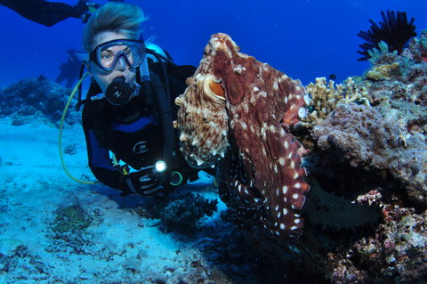 Second Reef Dive Site - Foster Accommodation 2