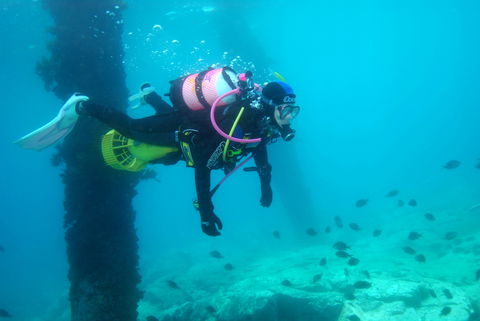 Shellharbour Scuba  And Photography Centre - Foster Accommodation 0