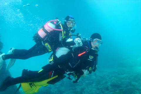 Shellharbour Scuba  And Photography Centre - Foster Accommodation 1
