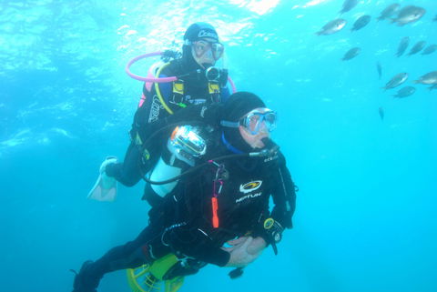 Shellharbour Scuba  And Photography Centre - Foster Accommodation 2
