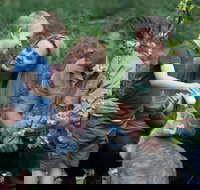 Tamworth Marsupial Park and Adventure Playground - Foster Accommodation