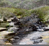 Thredbo River Track - Foster Accommodation