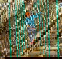 Trees Adventure Yeodene Park - Foster Accommodation