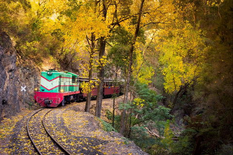 Walhalla Goldfields Railway - Foster Accommodation 2