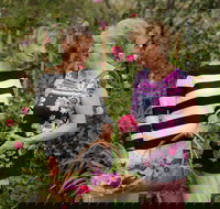 White Cottage - Foster Accommodation