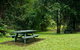 Williams River Picnic Area - thumb 0