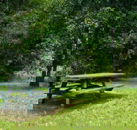 Williams River picnic area - Foster Accommodation