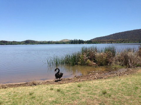 Yarralumla Bay - Foster Accommodation 0