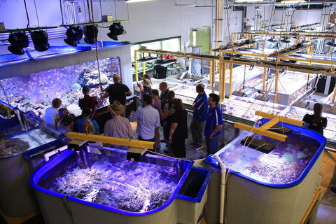 Australian Institute Of Marine Science - Foster Accommodation 0