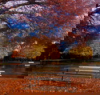 Bells Parade Reserve - Foster Accommodation