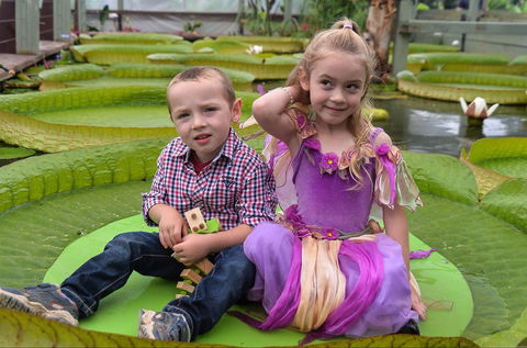 Blue Lotus Water Garden - Foster Accommodation 2