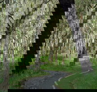 Boondall - Foster Accommodation