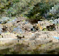 Boonoo Boonoo National Park - Foster Accommodation