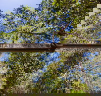 Bribie Island Bicentennial Trails - Foster Accommodation