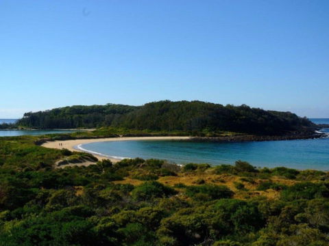 Broulee Island Nature Reserve Walk - Foster Accommodation 0