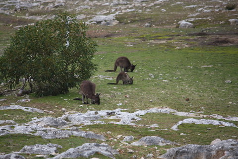 Cape Borda Lightstation - Flinders Chase National Park - Foster Accommodation 2