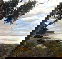 Fish Cannery Walking Trail - Foster Accommodation