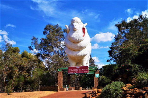 Giant Ram Park - Foster Accommodation 0