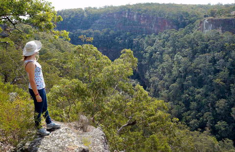 Glenbrook Gorge Track - Foster Accommodation 0