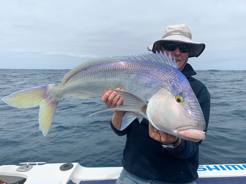 GT Fishing Charters - Foster Accommodation 1
