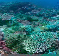 Hanging Rock Dive Site - Foster Accommodation