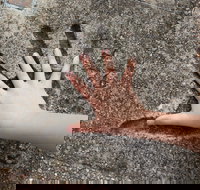 Hands of Fame Park - Foster Accommodation