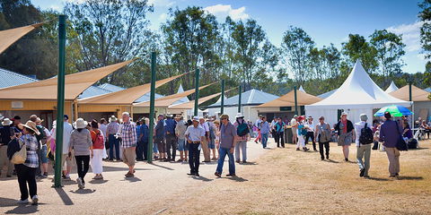 Ivory's Rock Conventions And Events - Foster Accommodation 2