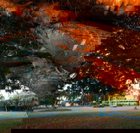 Jubilee Park Mackay - Foster Accommodation