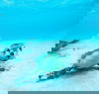 Jurien Bay - Foster Accommodation