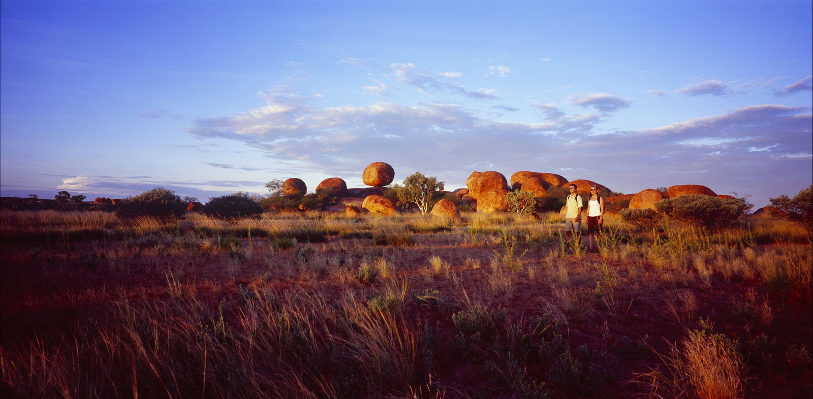  Foster Accommodation