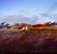 Karlu Karlu / Devils Marbles Conservation Reserve - Foster Accommodation
