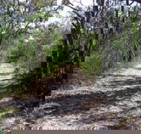 Lanky's Walk - Foster Accommodation