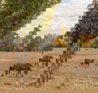 Lemington - Foster Accommodation