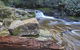 Liffey Falls Reserve - thumb 0