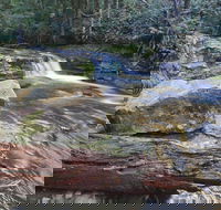 Liffey Falls Reserve - Foster Accommodation