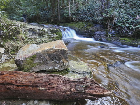 Liffey Falls Reserve - Foster Accommodation 0