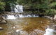 Liffey Falls Reserve - thumb 1