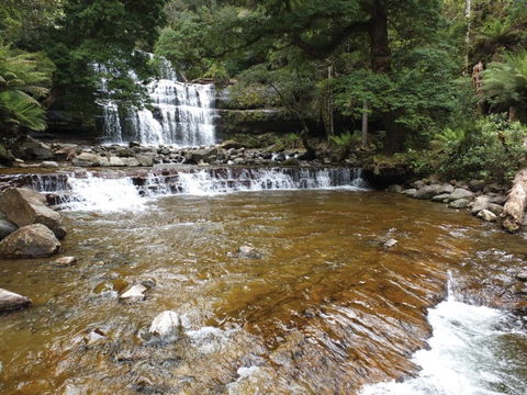 Liffey Falls Reserve - Foster Accommodation 1