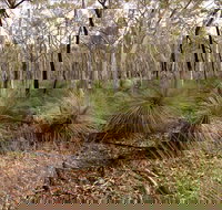 Livingstone National Park - Foster Accommodation