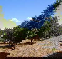 MacNuts WA Shop and Factory - Foster Accommodation