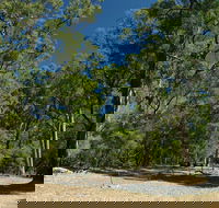 Maidens Tuart Forest - Foster Accommodation