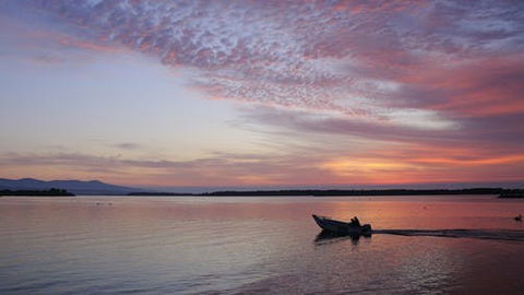 Mallacoota - Foster Accommodation 0