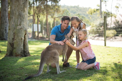 Paradise Country - Foster Accommodation 2