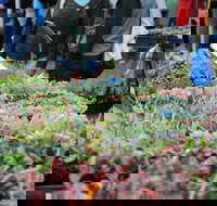 Portsea Market - Foster Accommodation