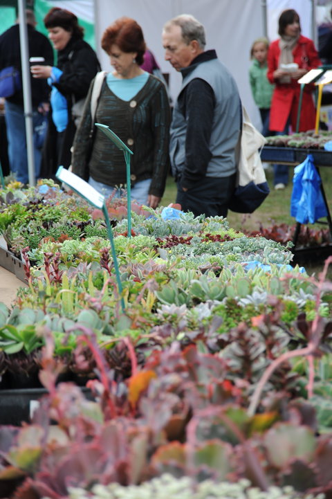 Portsea Market - Foster Accommodation 0