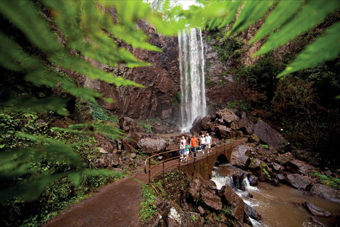 Queen Mary Falls Circuit, Main Range National Park - Foster Accommodation 0