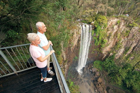 Queen Mary Falls Circuit, Main Range National Park - Foster Accommodation 1