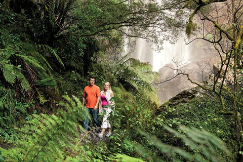 Queen Mary Falls Circuit, Main Range National Park - Foster Accommodation 2