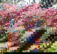 Sculpture at Petana - Foster Accommodation